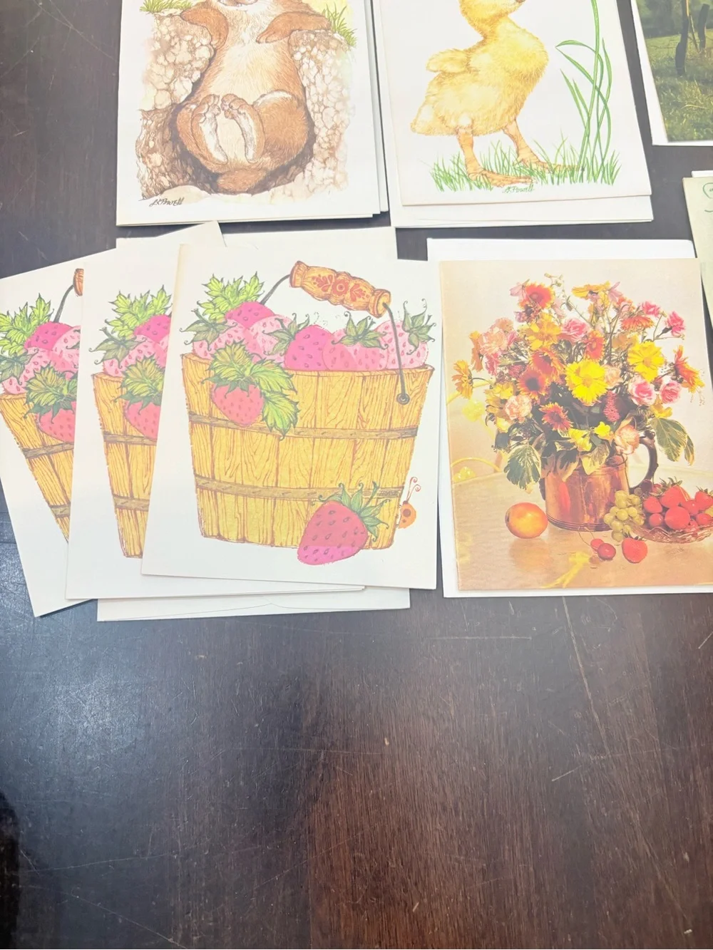 10 Assorted Current Floral, strawberry & Animal Blank Cards